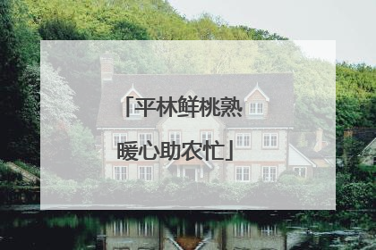 平林鲜桃熟 暖心助农忙